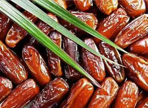 فروش عمده خرمای مرداسنگ اکنون شاپ